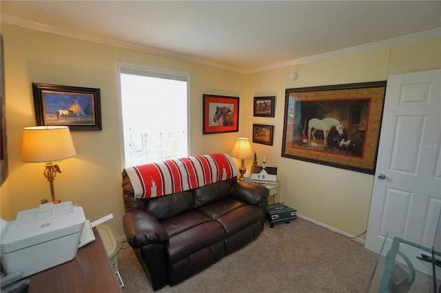 living room featuring carpet floors and crown molding