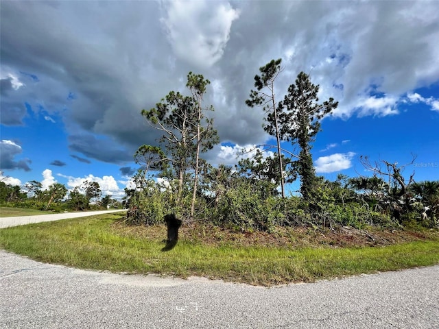 13463 Frost Ln, Port Charlotte FL, 33981 land for sale