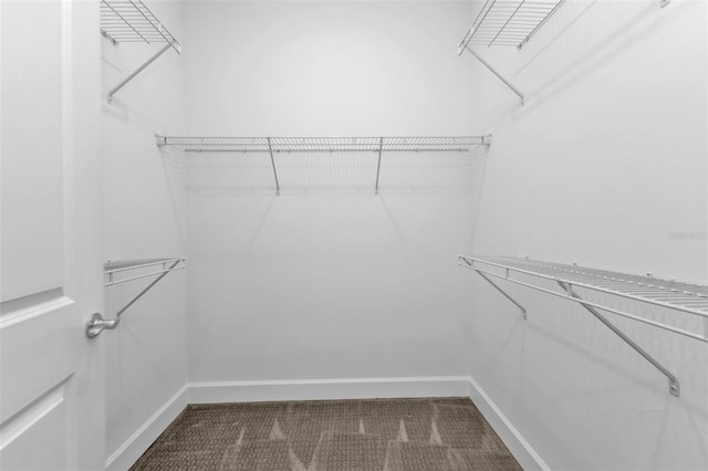 spacious closet featuring carpet flooring