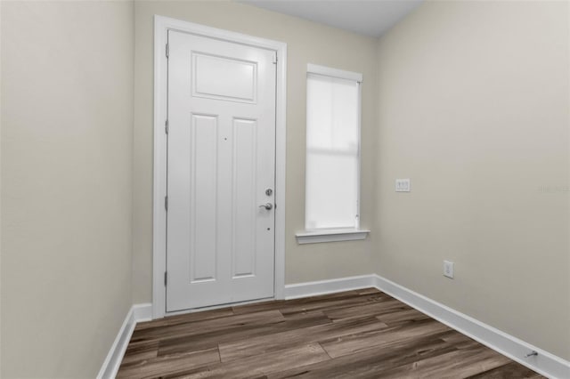 entryway featuring dark wood-type flooring