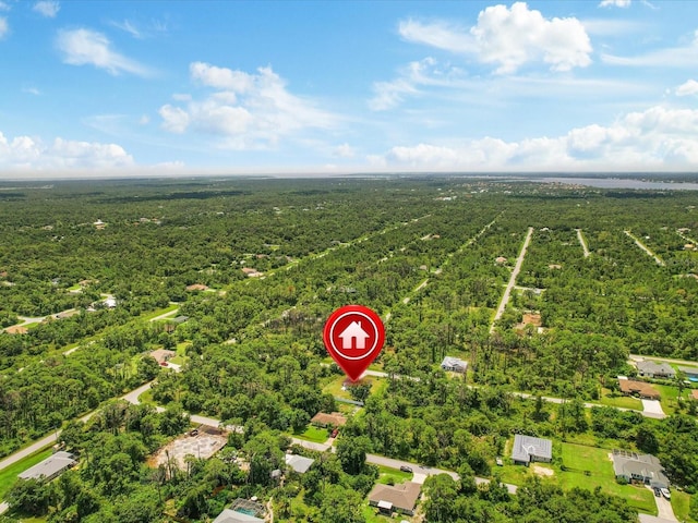 bird's eye view with a view of trees