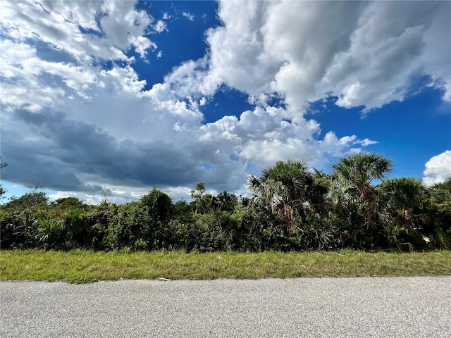 14298 Montmarte Ave, Port Charlotte FL, 33981 land for sale