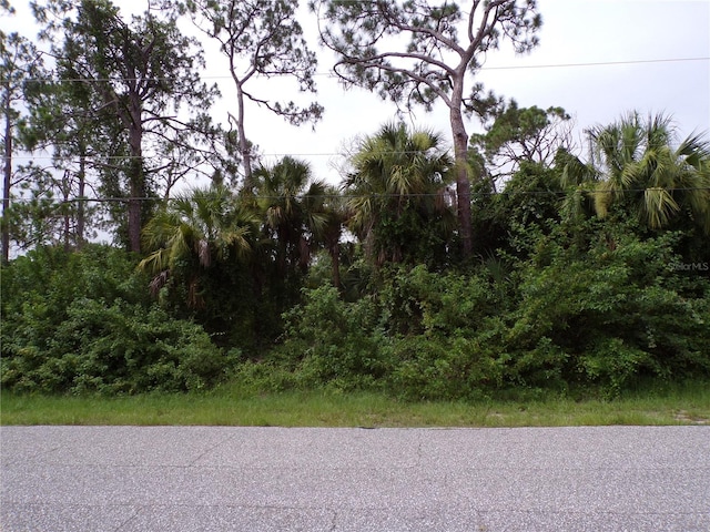 San Salvador Rd, North Port FL, 34291 land for sale