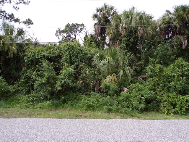 San Salvador Rd, North Port, FL 34291