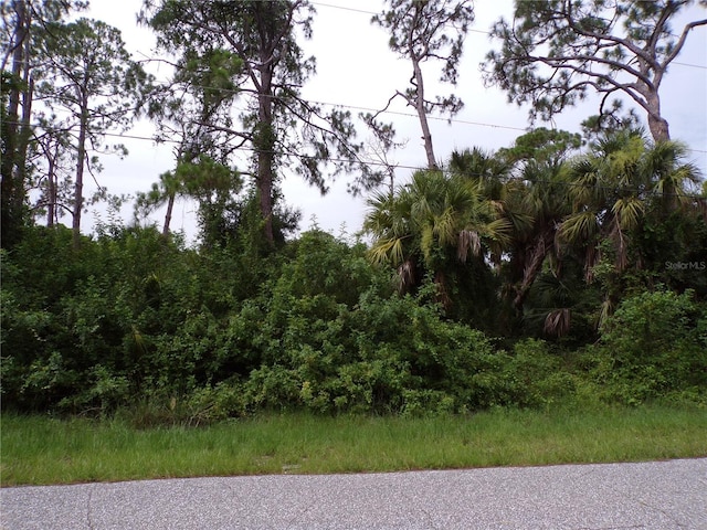 San Salvador Rd, North Port, FL 34291