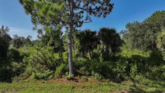 12189 Grace Ave, Port Charlotte FL, 33981 land for sale