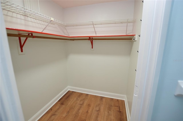 spacious closet with wood-type flooring