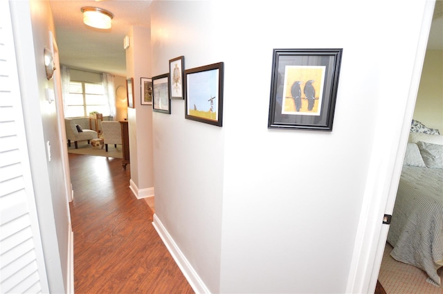 hall featuring dark wood-type flooring