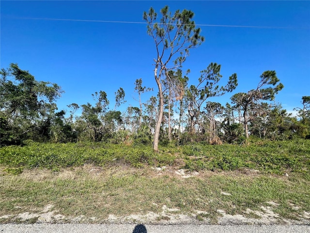 2110 Tea St, Port Charlotte FL, 33948 land for sale