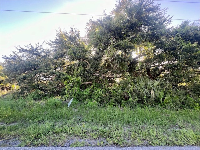 75 Santa Marta St, Port Charlotte FL, 33954 land for sale