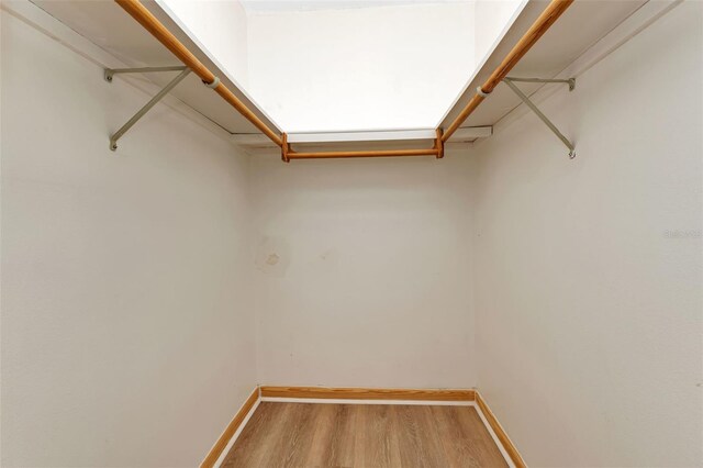 spacious closet featuring wood finished floors