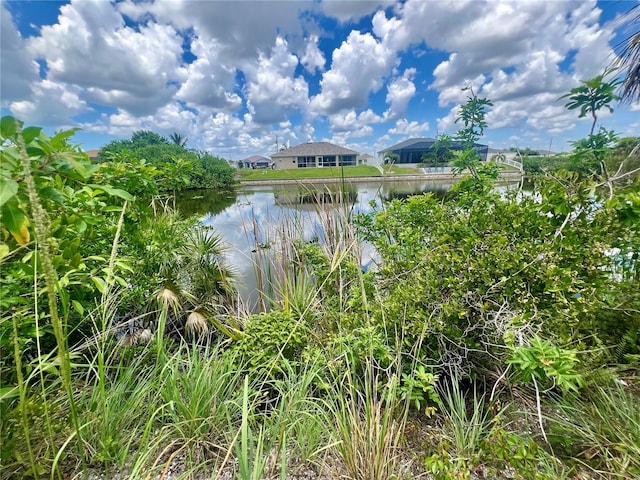 1423 NW 8th Ter, Cape Coral FL, 33993 land for sale