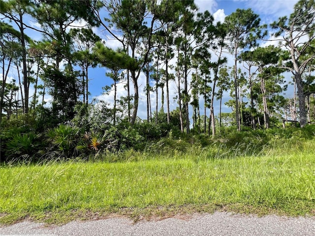 13510 Hopewell Ave, Port Charlotte FL, 33981 land for sale