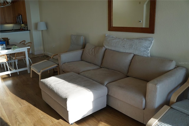 living room with wood-type flooring