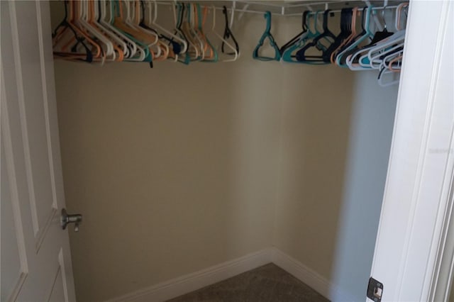 view of walk in closet