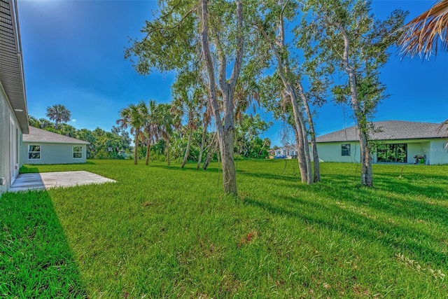 view of yard featuring a patio area