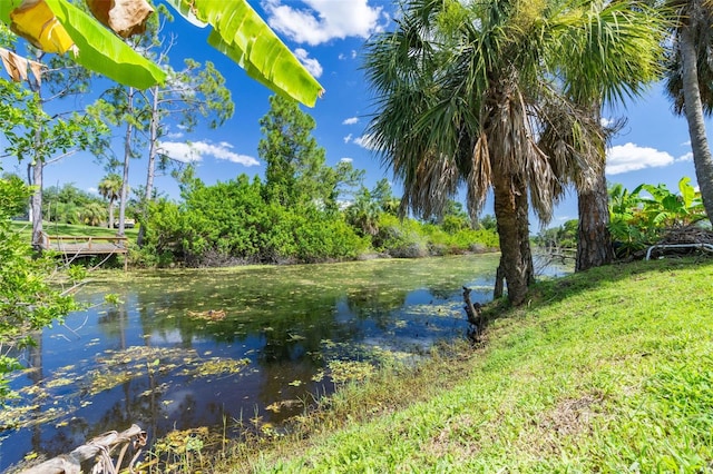 water view