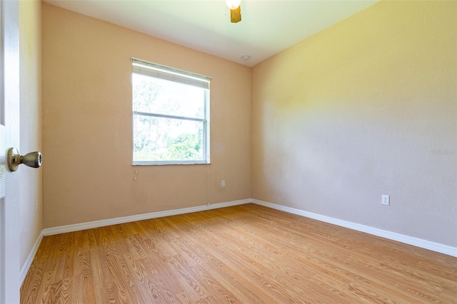 empty room featuring ceiling fan and light wood-type flooring