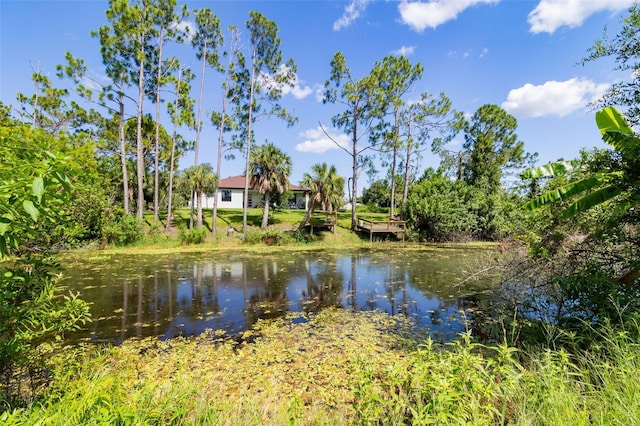 property view of water