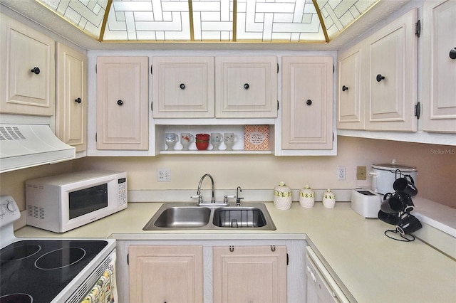 kitchen with sink, custom exhaust hood, and range