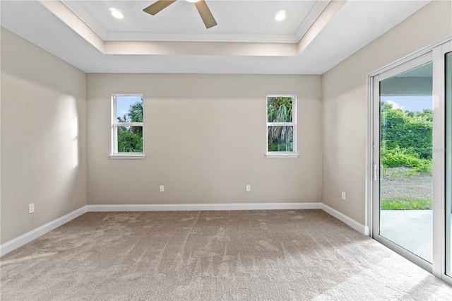 carpeted spare room with a raised ceiling, ceiling fan, and ornamental molding