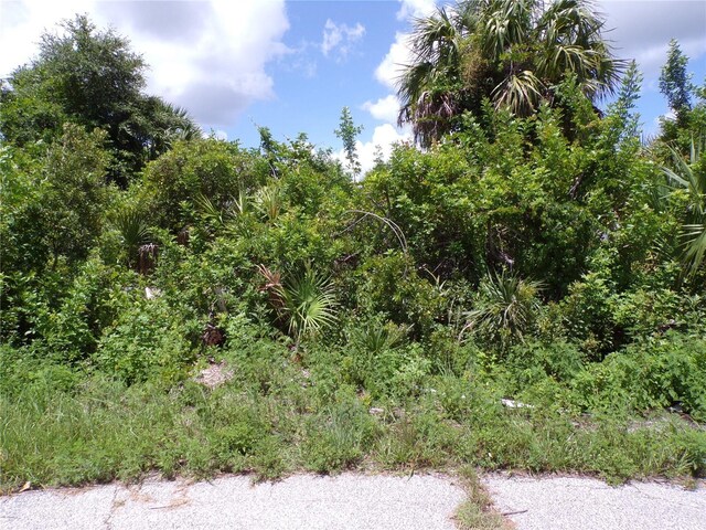 7248 Cassidy Ct, Port Charlotte, FL 33981 - photo 2