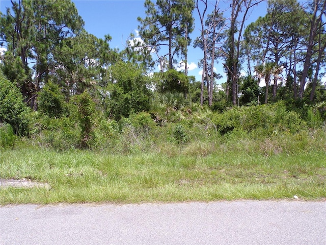 96 Pompano St, Port Charlotte FL, 33953 land for sale