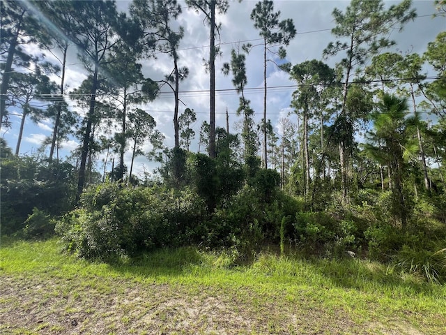 Elkenberry Ave, North Port FL, 34291 land for sale