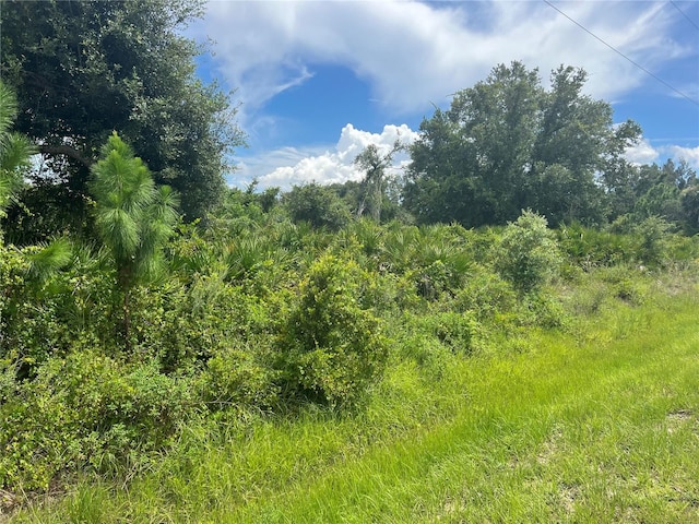 Marco Ave, North Port FL, 34287 land for sale