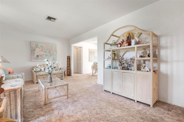 living room featuring a textured ceiling and carpet flooring