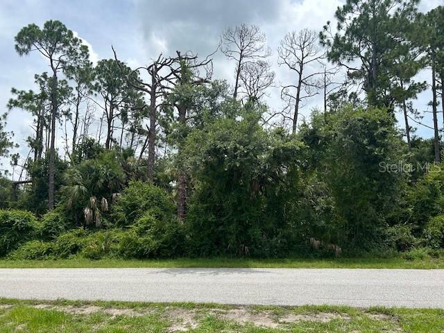 378 Wyatt St, Port Charlotte, FL 33954