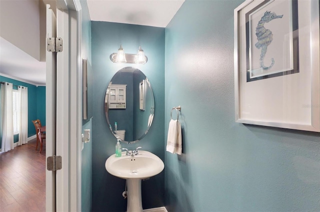 bathroom with hardwood / wood-style floors