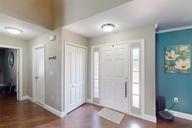 foyer entrance featuring dark wood-type flooring and a wealth of natural light