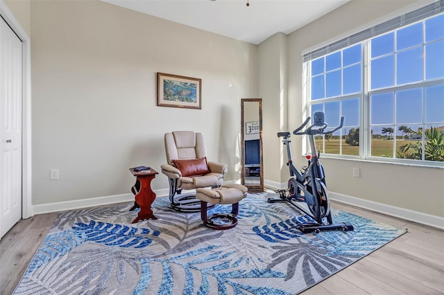 exercise area featuring wood-type flooring