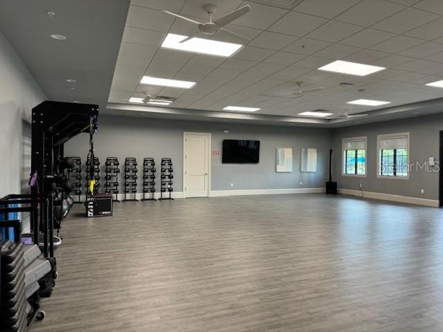 gym with hardwood / wood-style flooring, a drop ceiling, and ceiling fan