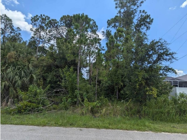 Dellbrook Ave, North Port FL, 34288 land for sale