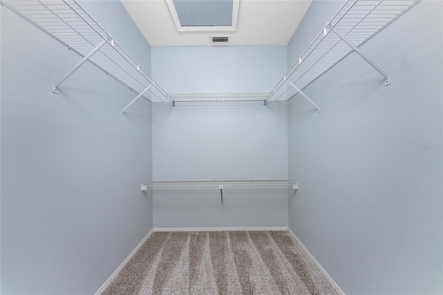 walk in closet featuring carpet flooring