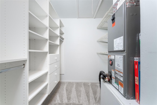 spacious closet featuring carpet flooring