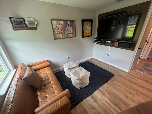 living room with hardwood / wood-style flooring