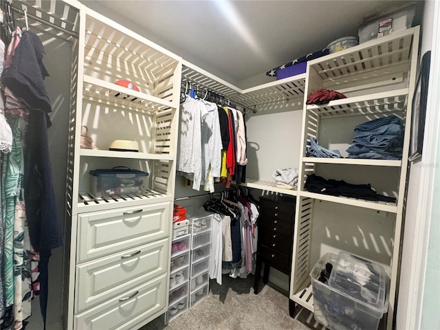 spacious closet with carpet