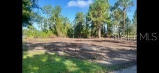 1042 Marathon Ave, Lehigh Acres FL, 33974 land for sale