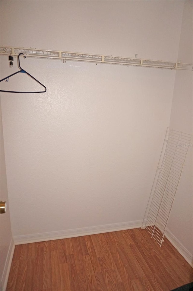 spacious closet with wood-type flooring