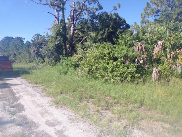 Listing photo 2 for Constitution Dr, North Port FL 34291