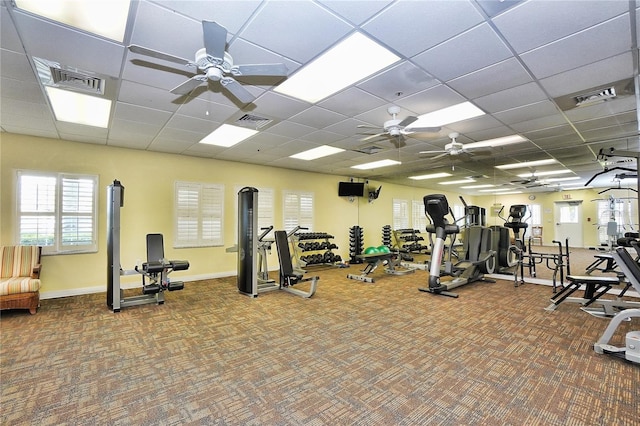 workout area with a drop ceiling, ceiling fan, and carpet flooring