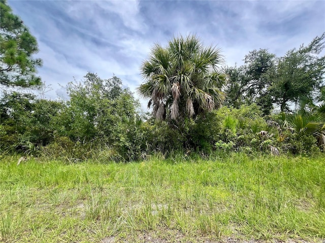 3302 Stone St, Port Charlotte FL, 33981 land for sale