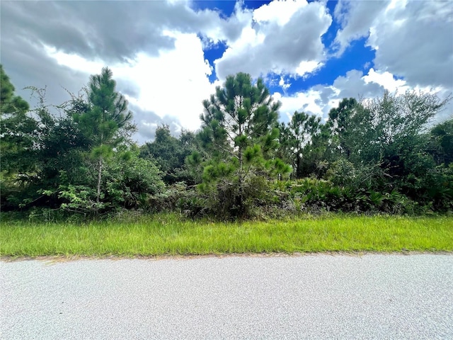 12467 Divan Ave, Port Charlotte FL, 33981 land for sale