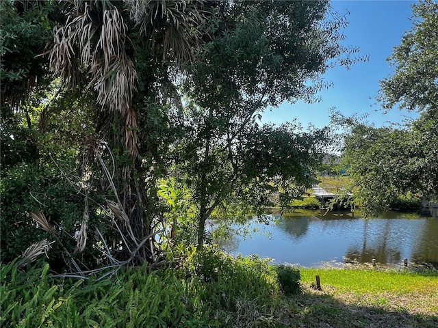 1405 Dorchester St, Port Charlotte, FL 33952 - water view