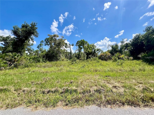 1253 Madeira St, Port Charlotte FL, 33953 land for sale