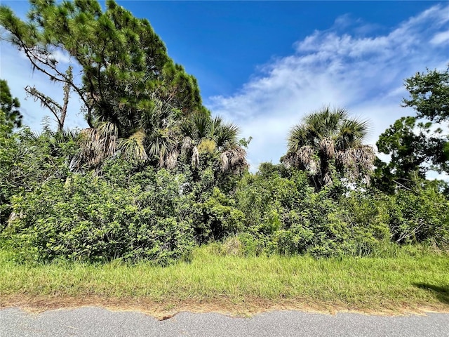 2168 Belvoir St, Port Charlotte FL, 33953 land for sale