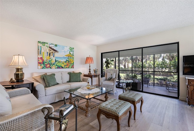 living room featuring a textured ceiling, plenty of natural light, and light hardwood / wood-style floors